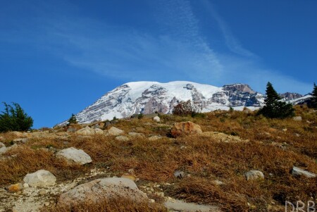 Mt. Rainier